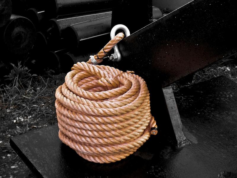 Ropes Main Specimen 139