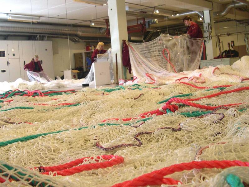 Netting Overview