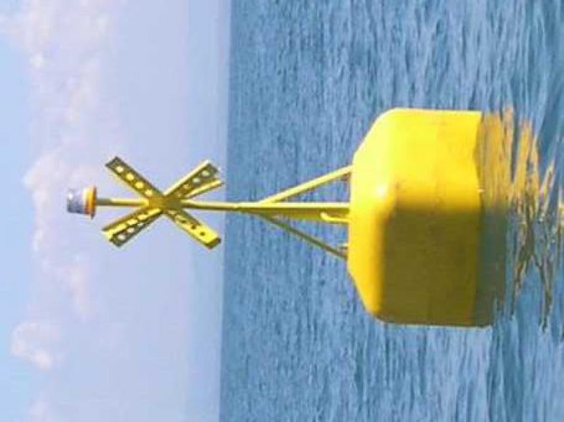 Signal Buoy Main Specimen 756